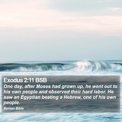Exodus 2:11 BSB Bible Verse Image