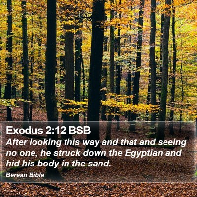 Exodus 2:12 BSB Bible Verse Image