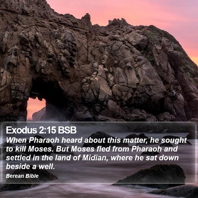 Exodus 2:15 BSB Bible Verse Image