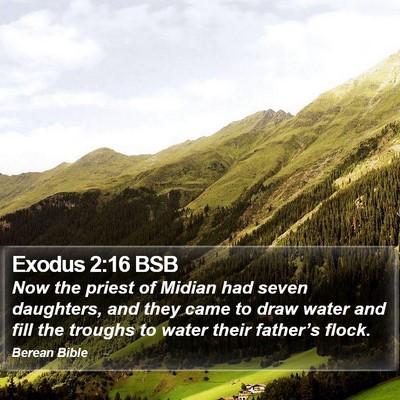 Exodus 2:16 BSB Bible Verse Image