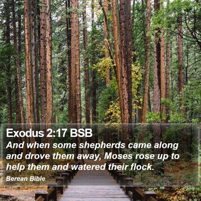 Exodus 2:17 BSB Bible Verse Image