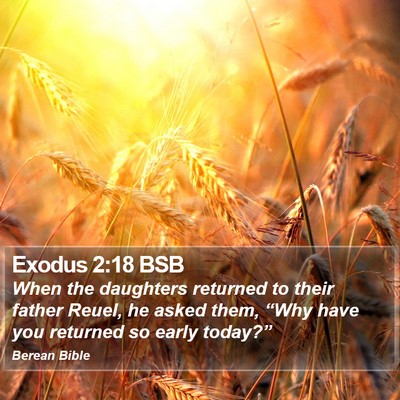 Exodus 2:18 BSB Bible Verse Image