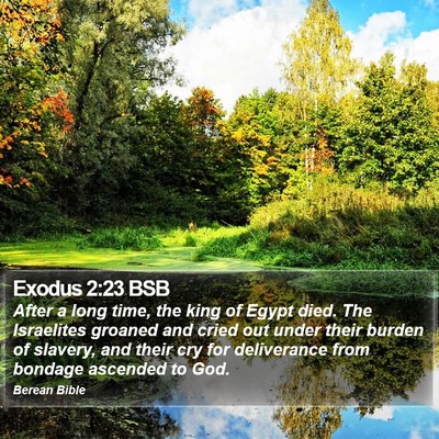 Exodus 2:23 BSB Bible Verse Image