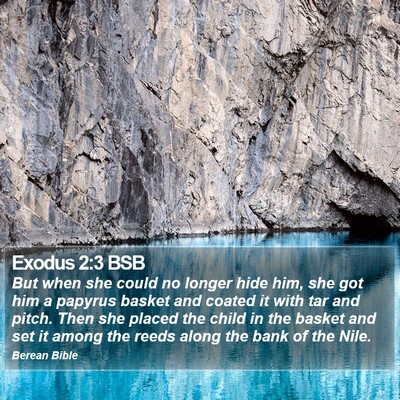 Exodus 2:3 BSB Bible Verse Image