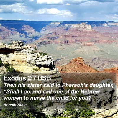 Exodus 2:7 BSB Bible Verse Image