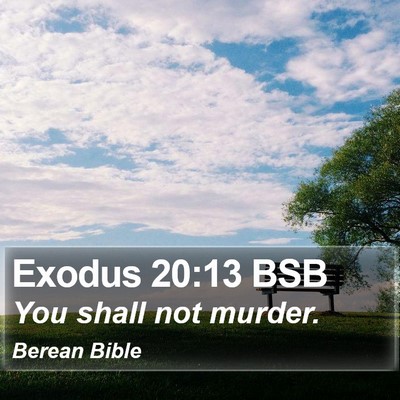 Exodus 20:13 BSB Bible Verse Image