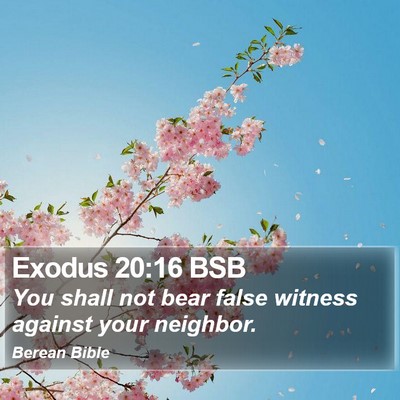Exodus 20:16 BSB Bible Verse Image