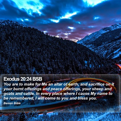 Exodus 20:24 BSB Bible Verse Image