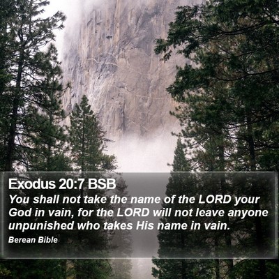 Exodus 20:7 BSB Bible Verse Image