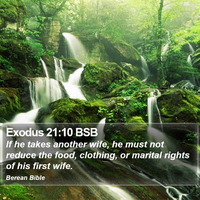 Exodus 21:10 BSB Bible Verse Image