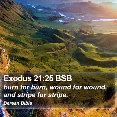 Exodus 21:25 BSB Bible Verse Image