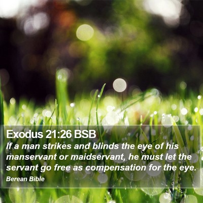 Exodus 21:26 BSB Bible Verse Image