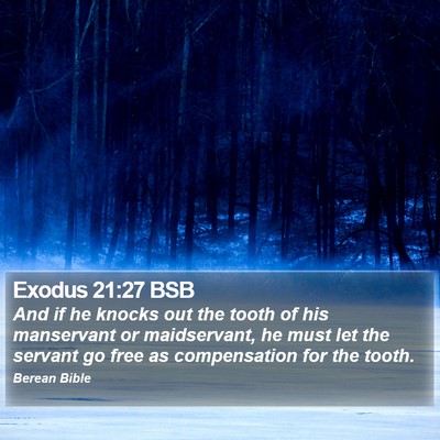 Exodus 21:27 BSB Bible Verse Image