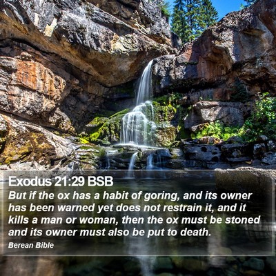 Exodus 21:29 BSB Bible Verse Image