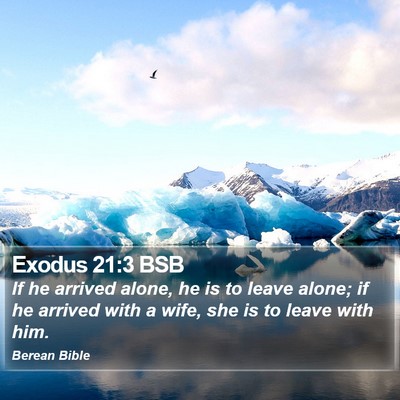 Exodus 21:3 BSB Bible Verse Image