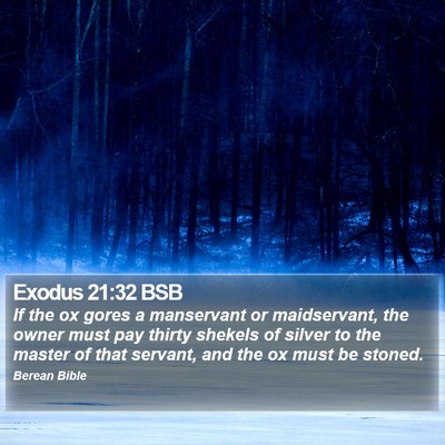 Exodus 21:32 BSB Bible Verse Image