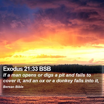 Exodus 21:33 BSB Bible Verse Image