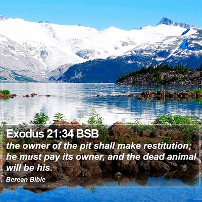 Exodus 21:34 BSB Bible Verse Image