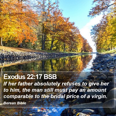 Exodus 22:17 BSB Bible Verse Image