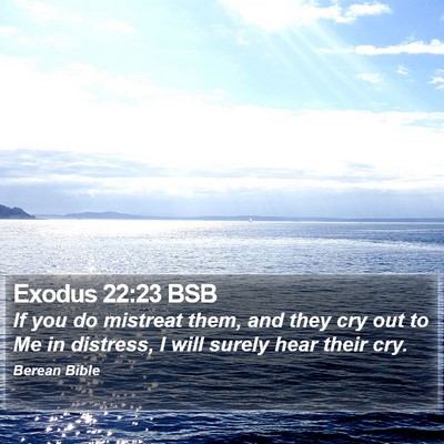 Exodus 22:23 BSB Bible Verse Image