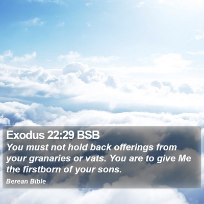 Exodus 22:29 BSB Bible Verse Image