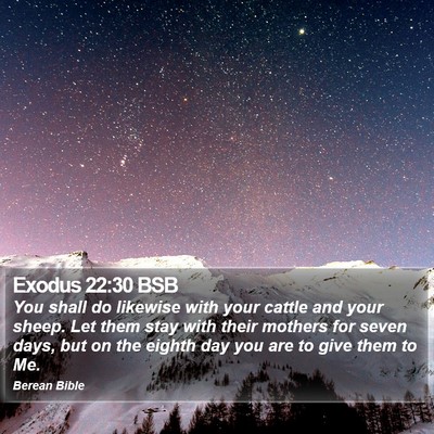 Exodus 22:30 BSB Bible Verse Image