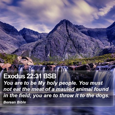 Exodus 22:31 BSB Bible Verse Image