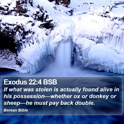 Exodus 22:4 BSB Bible Verse Image