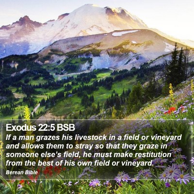 Exodus 22:5 BSB Bible Verse Image