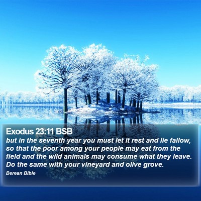 Exodus 23:11 BSB Bible Verse Image