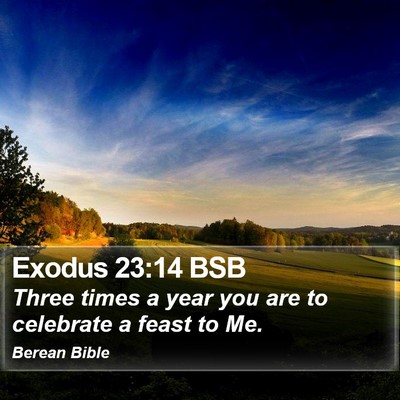 Exodus 23:14 BSB Bible Verse Image