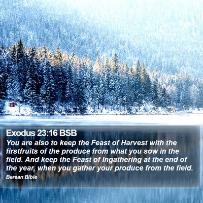 Exodus 23:16 BSB Bible Verse Image