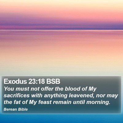 Exodus 23:18 BSB Bible Verse Image