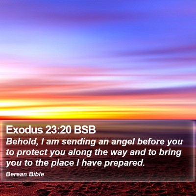 Exodus 23:20 BSB Bible Verse Image