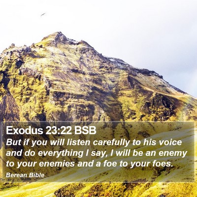 Exodus 23:22 BSB Bible Verse Image