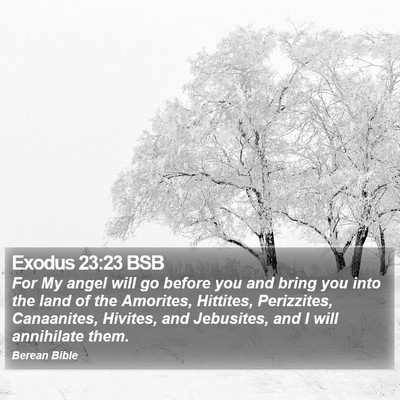 Exodus 23:23 BSB Bible Verse Image