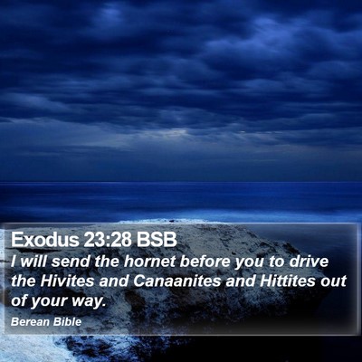 Exodus 23:28 BSB Bible Verse Image