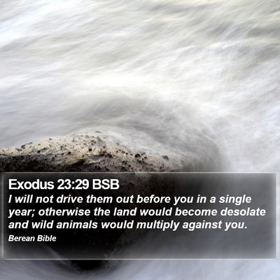 Exodus 23:29 BSB Bible Verse Image