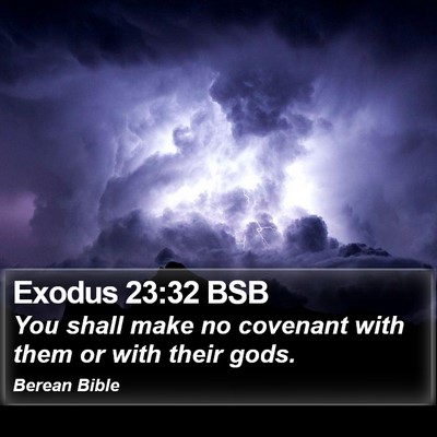 Exodus 23:32 BSB Bible Verse Image