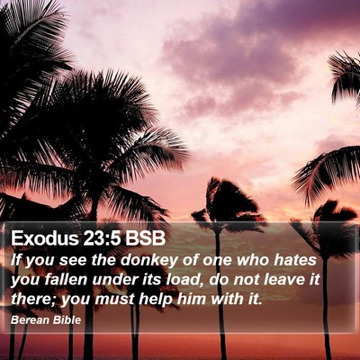 Exodus 23:5 BSB Bible Verse Image