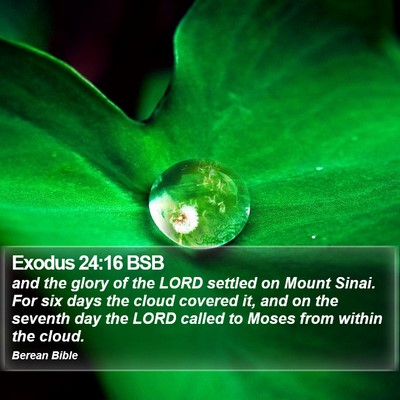 Exodus 24:16 BSB Bible Verse Image