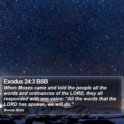 Exodus 24:3 BSB Bible Verse Image