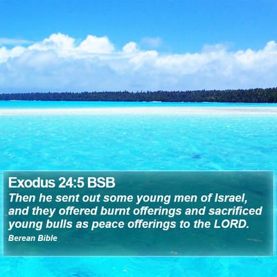 Exodus 24:5 BSB Bible Verse Image