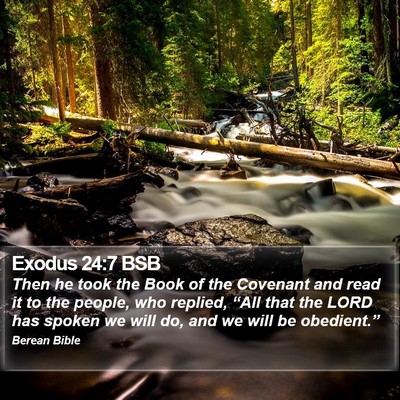 Exodus 24:7 BSB Bible Verse Image