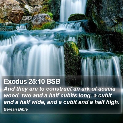 Exodus 25:10 BSB Bible Verse Image