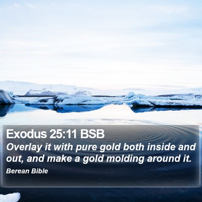 Exodus 25:11 BSB Bible Verse Image
