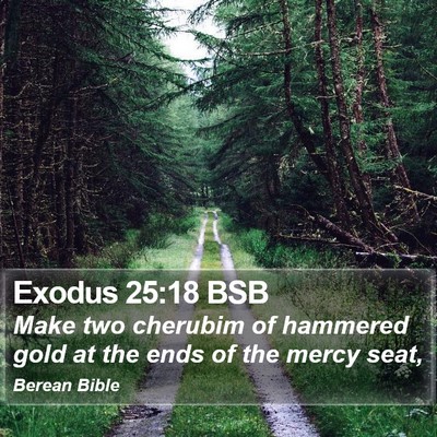 Exodus 25:18 BSB Bible Verse Image