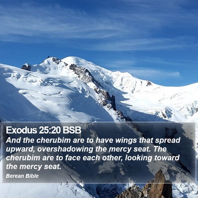 Exodus 25:20 BSB Bible Verse Image