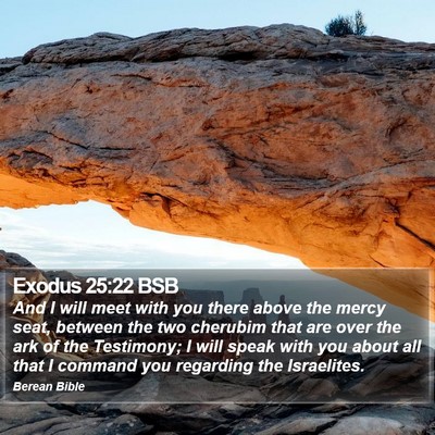 Exodus 25:22 BSB Bible Verse Image