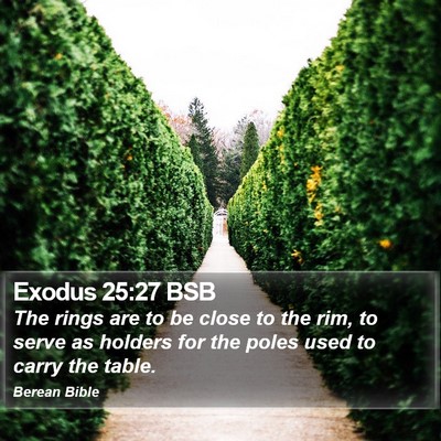 Exodus 25:27 BSB Bible Verse Image